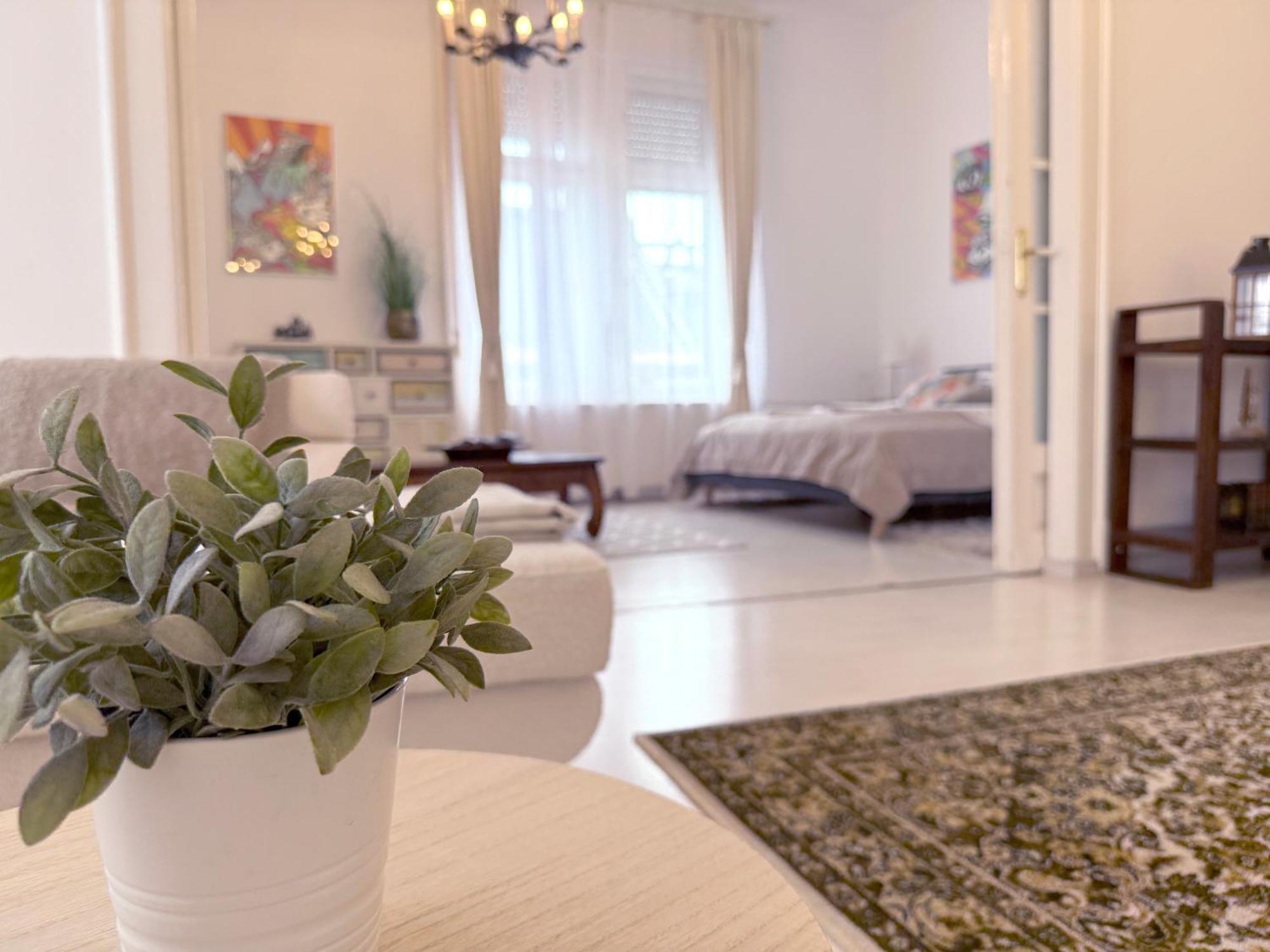 Elegant 125M2 Apartment In Center Of 布达佩斯 外观 照片